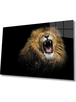 Miraax Aslan Cam Tablo