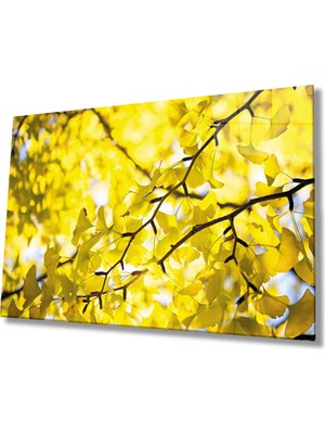 Miraax Sarı Yeşil Yapraklar Cam Tablo