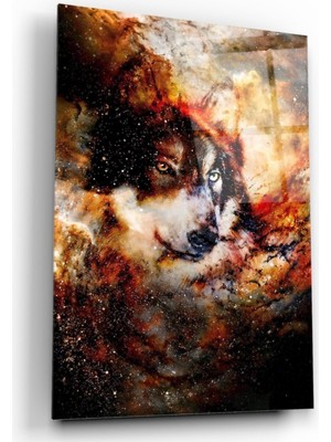 Miraax Kurt Cam Tablo