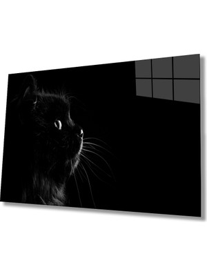 Miraax Kedi Hayvan  Cam Tablo