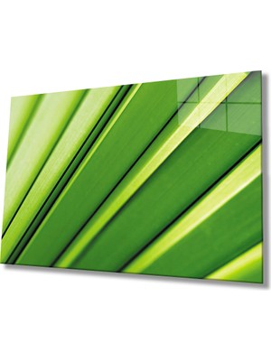 Miraax Yeşil Yaprak Green Leaf