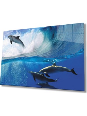 Miraax Yunusbalığı Sualtı Cam Tablo