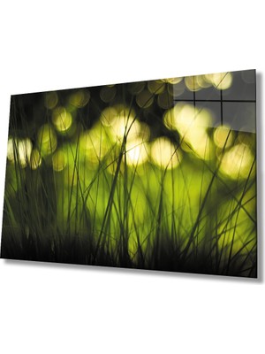 Miraax Yeşil Işık Görselli Cam Tablo   Yeşil Işık Görselli