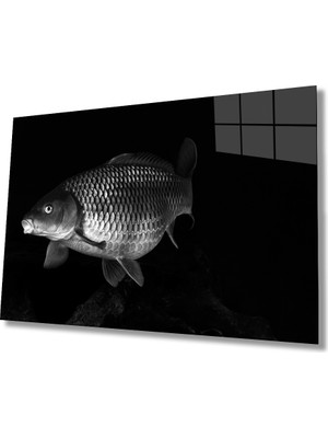 Miraax Balık Hayvan  Cam Tablo