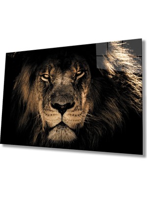 Miraax Aslan Cam Tablo