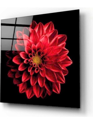 Miraax Çiçek Cam Tablo 50 x 50 cm