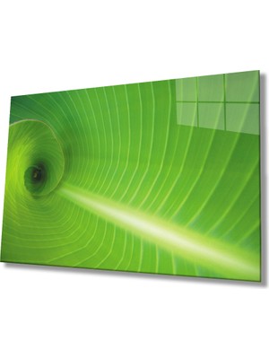 Miraax Yeşil Yaprak Green Leaf