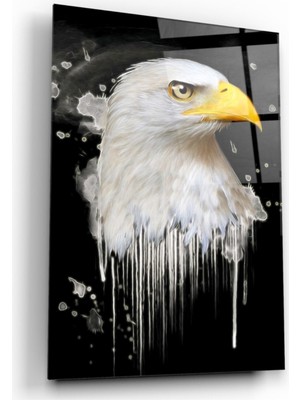 Miraax Kartal Cam Tablo