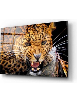 Miraax Aslan Cam Tablo