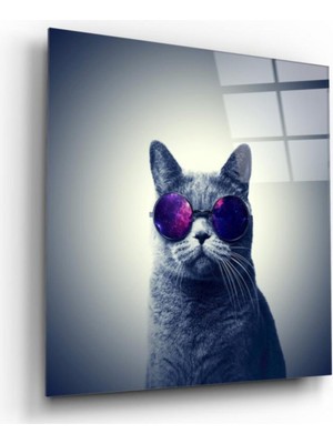 Miraax Kedi Cam Tablo