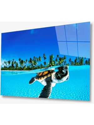 Miraax Doğa Cam Tablo