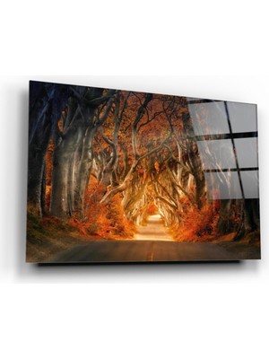 Miraax Orman Cam Tablo