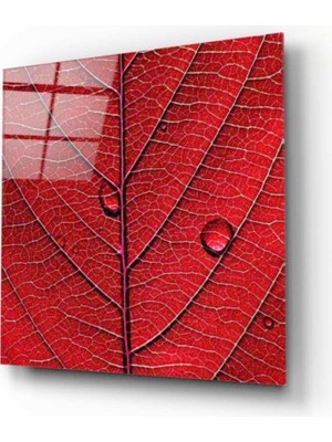 Miraax Su Damlacıkları Cam Tablo 50 x 50 cm