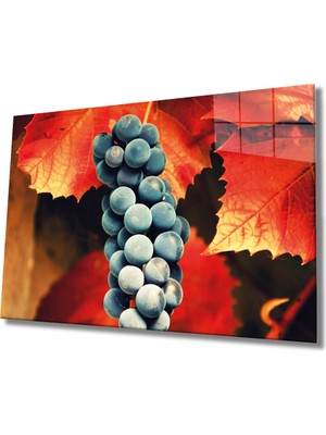 Miraax Siyah Üzüm Cam Tablo 	grape Art