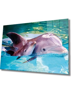 Miraax Yunus Balığı Cam Tablo Dolphin
