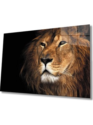 Miraax Aslan Cam Tablo