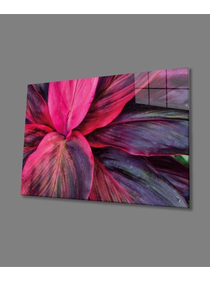 Miraax Mor Çiçek  Cam Tablo, Purple Flower