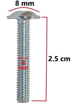 ŞENEL Yapı Market Mobilya Dolap Kapak Kulp Vidası Metrik Vida 4X25 mm 20 Adet