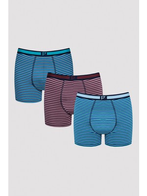 Penti Stripes 3lü Çok Renkli Boxer