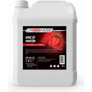 Carshine Çilek ve Damla Sakızlı Oto Kokusu 5l
