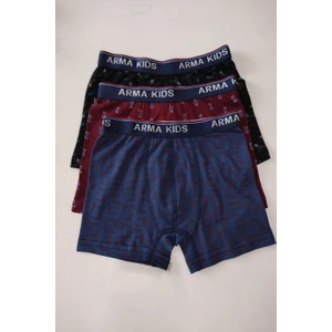 Renkli Erkek Çocuk Desenli Boxer 3'lü Paket Pamuklu Likralı