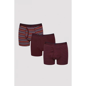 Erkek Stripe Çok Renkli 3lü Boxer