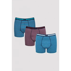Stripes 3lü Çok Renkli Boxer