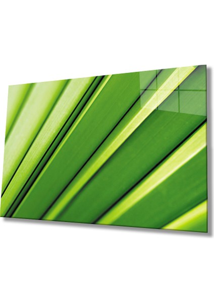 Yeşil Yaprak Green Leaf