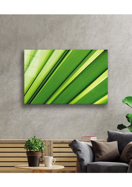 Yeşil Yaprak Green Leaf