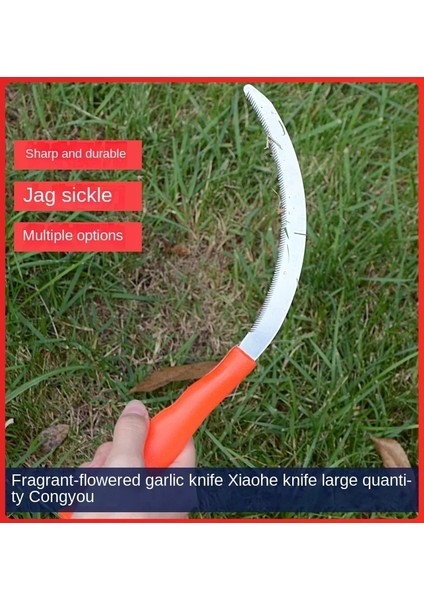 26CM Tarzı Paslanmaz Çelik Başa Çıkma Orak Çapa Tüm Çelik Başa Çıkma Testere Biçme Bıçağı Kesme Plastik Film Tarımsal Ayıklama Bıçağı Dişli (Yurt Dışından) modelleri