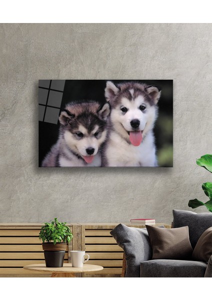 Köpekler Cam Tablo fiyatları