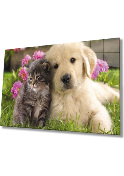 Kedi ve Köpek Cam Tablo
