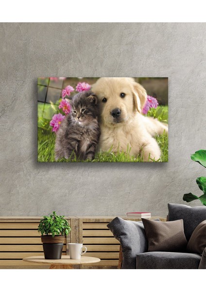 Kedi ve Köpek Cam Tablo