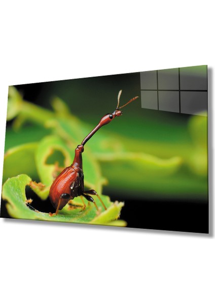 Böcek Yeşil Cam Tablo Insect Green