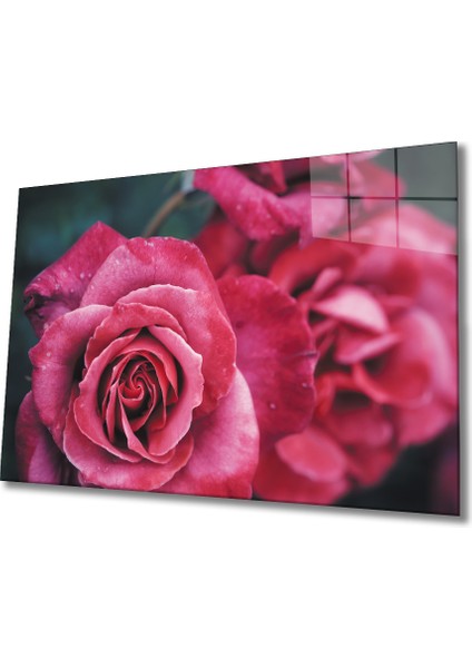 Rose Cam Tablo