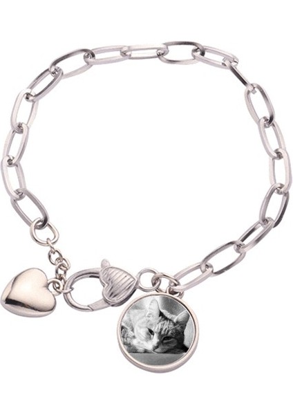 Hayvanlar Temiz Gray Cat Fotoğraf Resim Kalp Chain Bracelet Jewelry Charm Fashion (Yurt Dışından) fırsatları