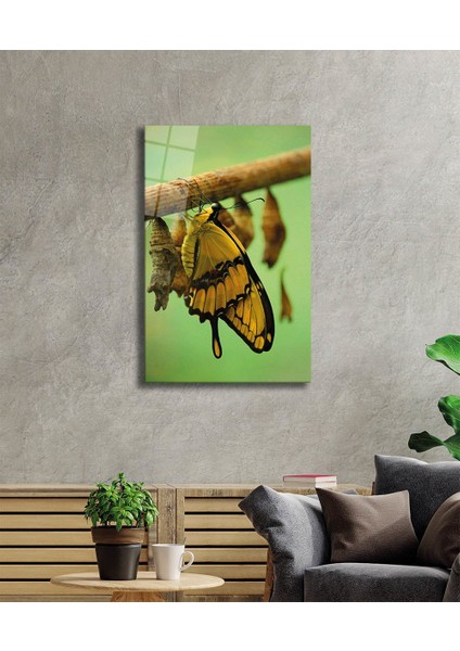 Sarı Kelebek Cam Tablo Yellow Butterfly fiyatları