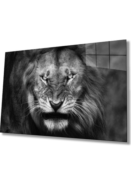 Aslan Cam Tablo