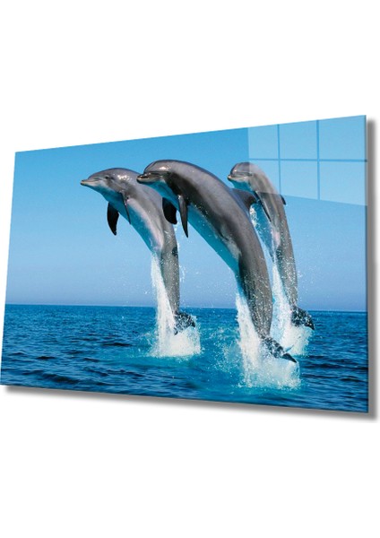 Yunus Balıkları Cam Tablo Dolphins