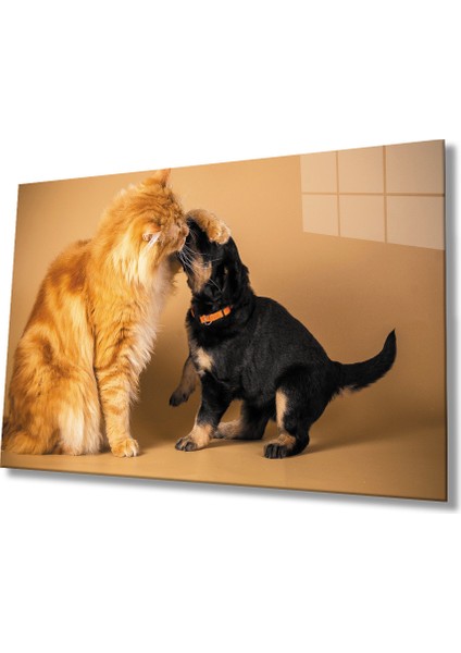 Kedi Köpek Cam Tablo