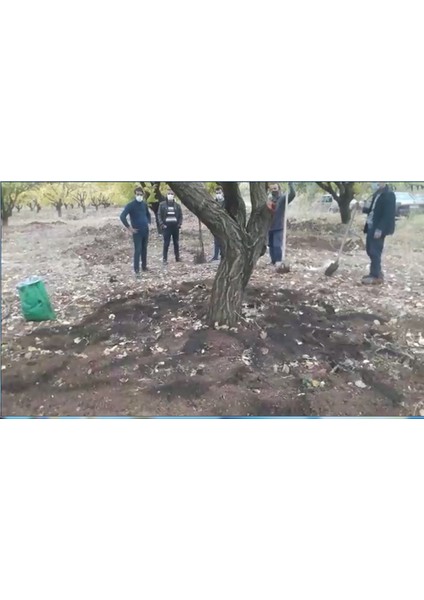 25 kg Leonardit (Toz) 25 kg Torbada modelleri