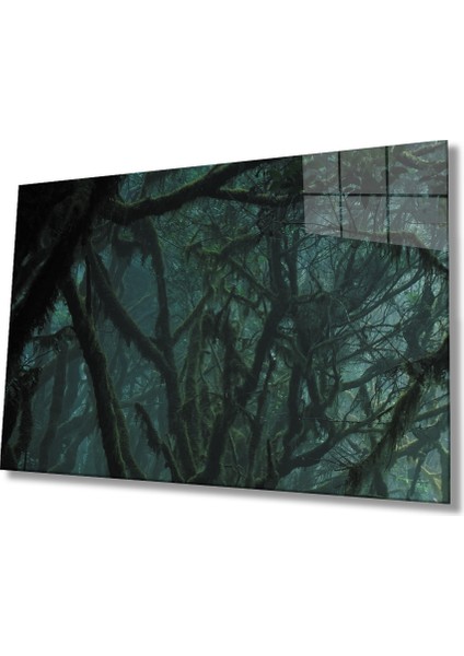 Yeşil Orman Green Forest
