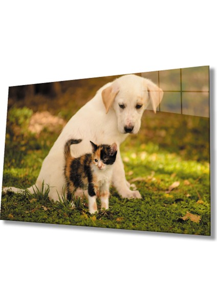 Kedi Köpek Cam Tablo
