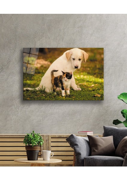 Kedi Köpek Cam Tablo