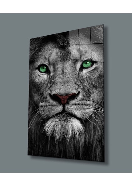 Aslan Cam Tablo