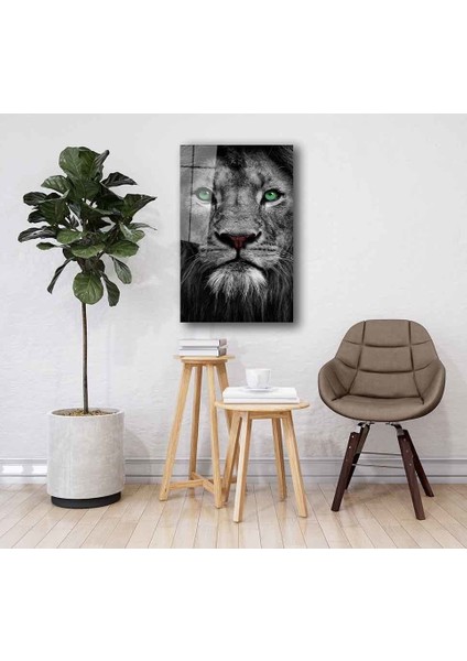 Aslan Cam Tablo fiyatları