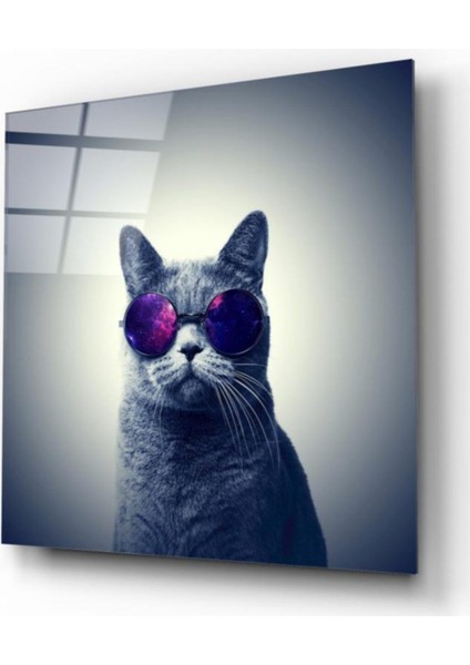 Kedi Cam Tablo fiyatları