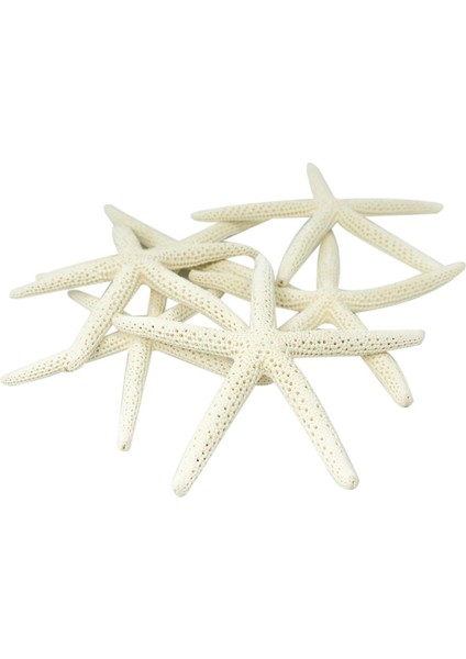 12PCS Beyaz Parmak Denizyıldızı 5-10CM Dekoratif Beş Parmak Denizyıldızı (Yurt Dışından)