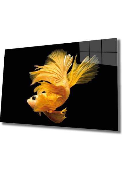 Sarı Balık Cam Tablo Yellow Fish