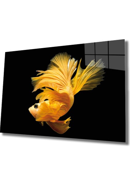 Sarı Balık Cam Tablo Yellow Fish